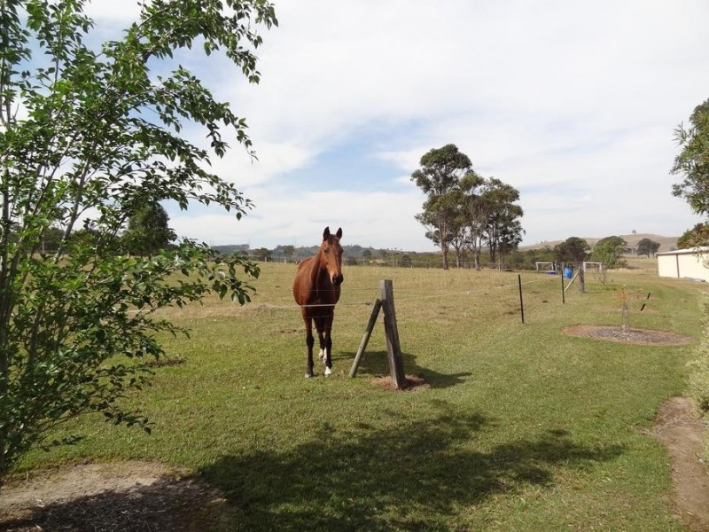 282 Glen Martin Road, Clarence Town NSW 2321