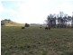 Lot 32 Dungog Road, Dungog NSW 2420