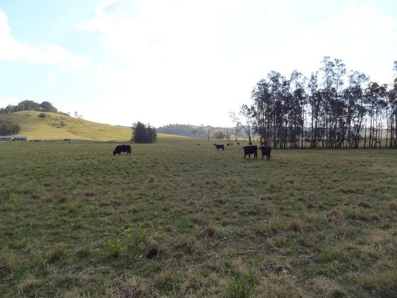 Lot 32 Dungog Road, Dungog NSW 2420