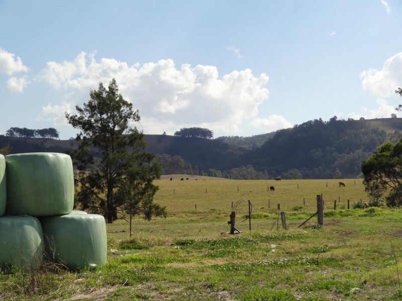 Lot 32 Dungog Road, Dungog NSW 2420