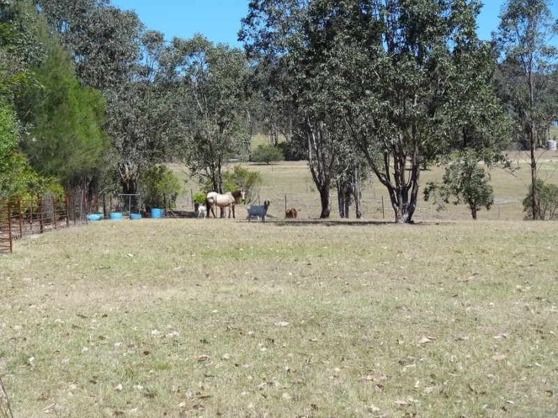 226 Wallarobba, Clarence Town NSW 2321