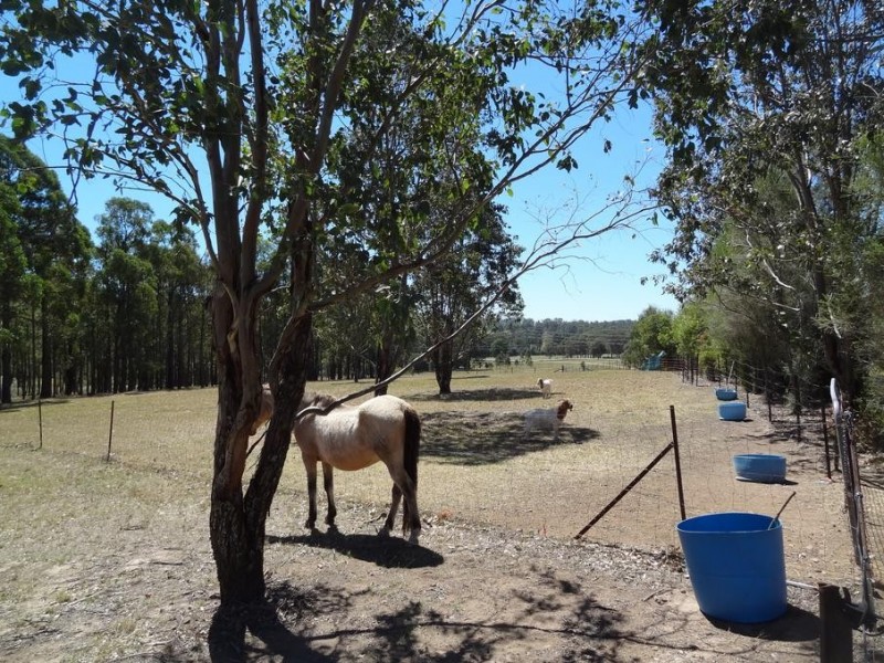 226 Wallarobba, Clarence Town NSW 2321