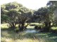 64 Cemetery Road, Clarence Town NSW 2321