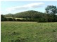 Lot 4 Blackcamp Creek Road, Stroud NSW 2425