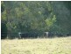 Lot 4 Blackcamp Creek Road, Stroud NSW 2425