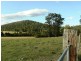 Lot 4 Blackcamp Creek Road, Stroud NSW 2425