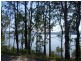 70 RIVERSIDE DRIVE, Karuah NSW 2324