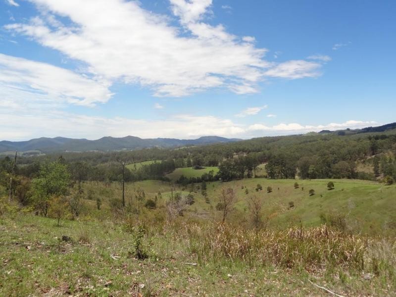2443 Bucketts Way, Stroud NSW 2425