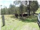 2443 Bucketts Way, Stroud NSW 2425
