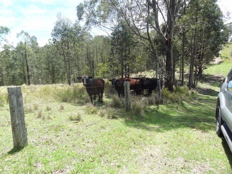 2443 Bucketts Way, Stroud NSW 2425