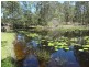 8 Riverview Close, Clarence Town NSW 2321