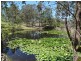 8 Riverview Close, Clarence Town NSW 2321