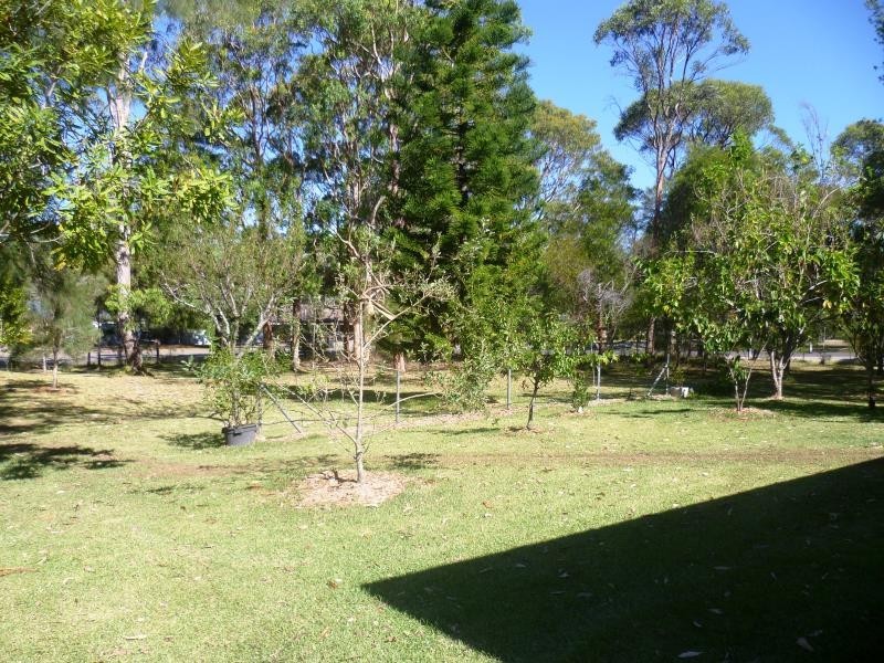 19 RYAN ROAD, Medowie NSW 2318