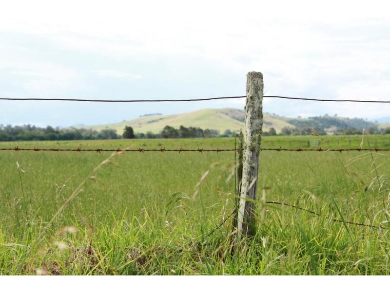 Limeburners Creek Rd, Clarence Town NSW 2321