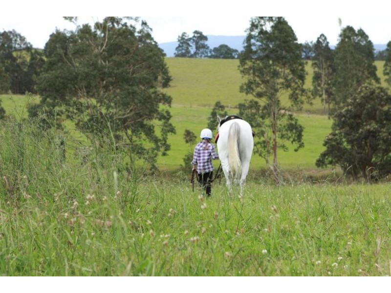 Limeburners Creek Rd, Clarence Town NSW 2321