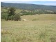 1524 Chichester Dam Road, Dungog NSW 2420