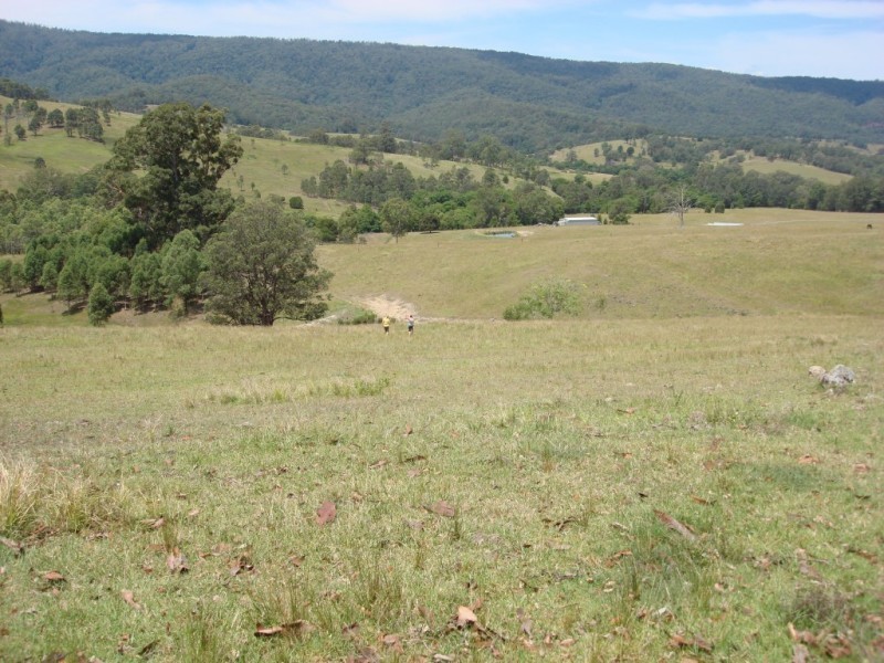 1524 Chichester Dam Road, Dungog NSW 2420