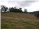 1524 Chichester Dam Road, Dungog NSW 2420