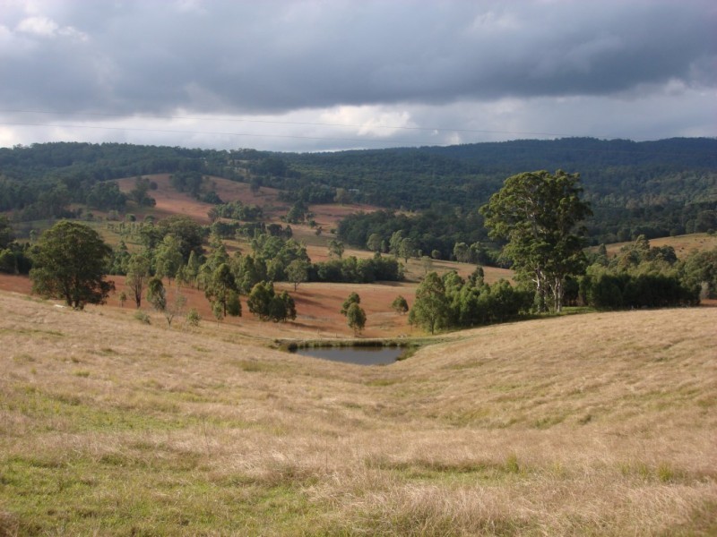 1524 Chichester Dam Road, Dungog NSW 2420