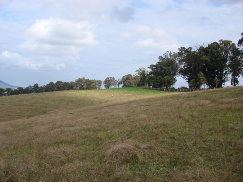 1524 Chichester Dam Road, Dungog NSW 2420