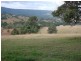 1524 Chichester Dam Road, Dungog NSW 2420