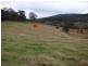 1524 Chichester Dam Road, Dungog NSW 2420