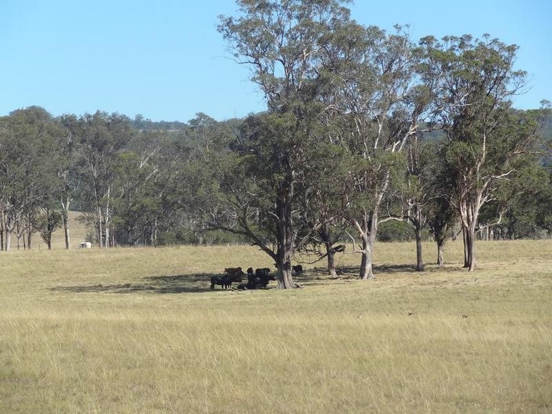 1397 Dungog Road, Wallarobba NSW 2420