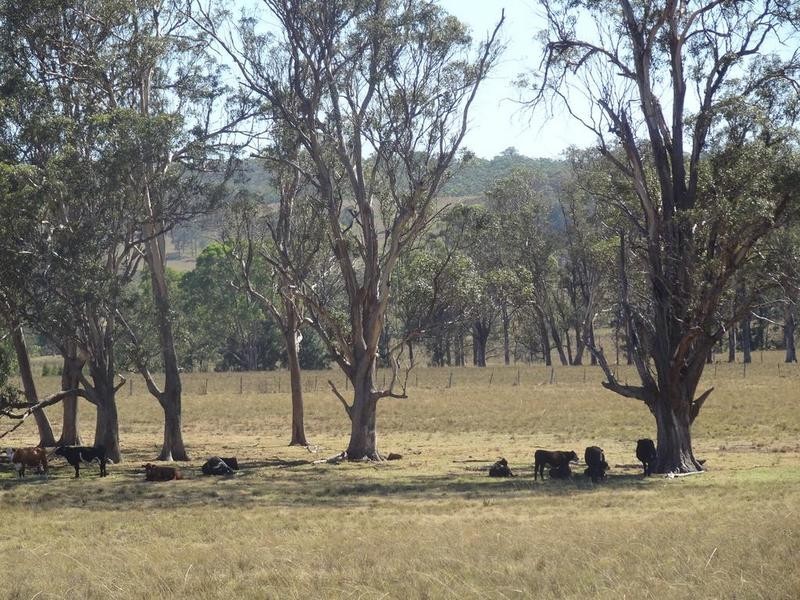 1397 Dungog Road, Wallarobba NSW 2420