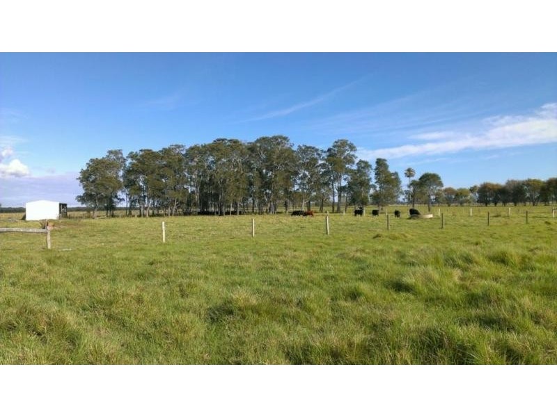 397 Fullerton Cove, Fullerton Cove NSW 2318