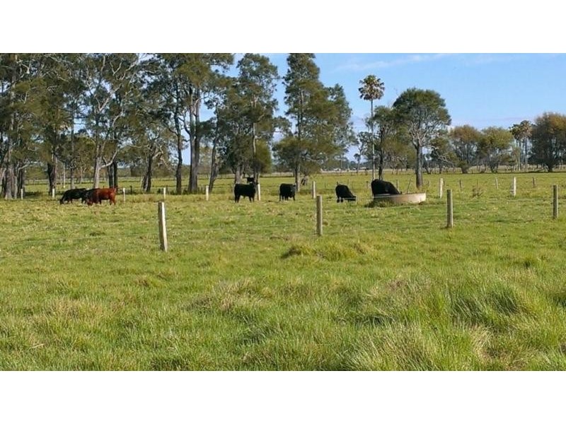 397 Fullerton Cove, Fullerton Cove NSW 2318