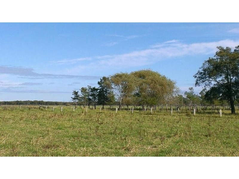 397 Fullerton Cove, Fullerton Cove NSW 2318