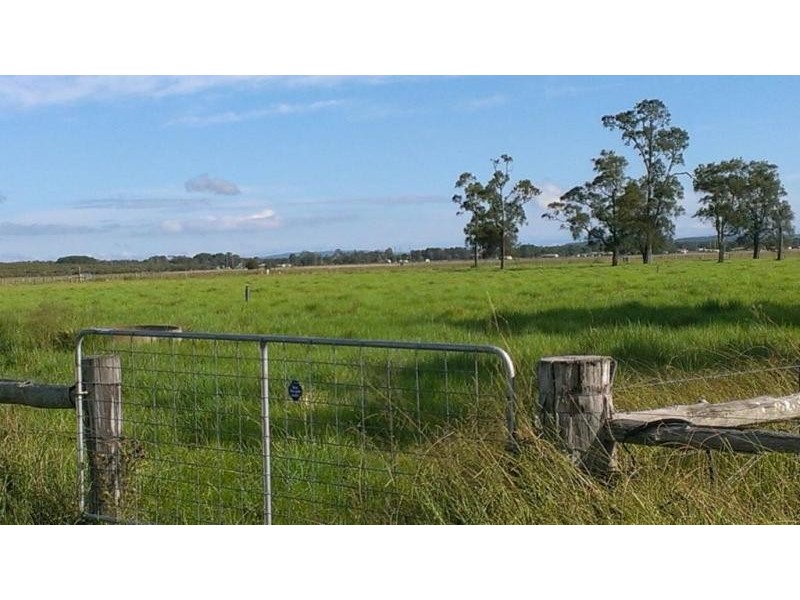 397 Fullerton Cove, Fullerton Cove NSW 2318