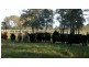 397 Fullerton Cove, Fullerton Cove NSW 2318