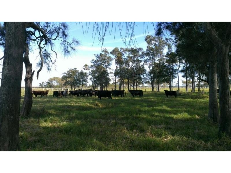 397 Fullerton Cove, Fullerton Cove NSW 2318