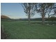 1182 Moores Road, Dungog NSW 2420