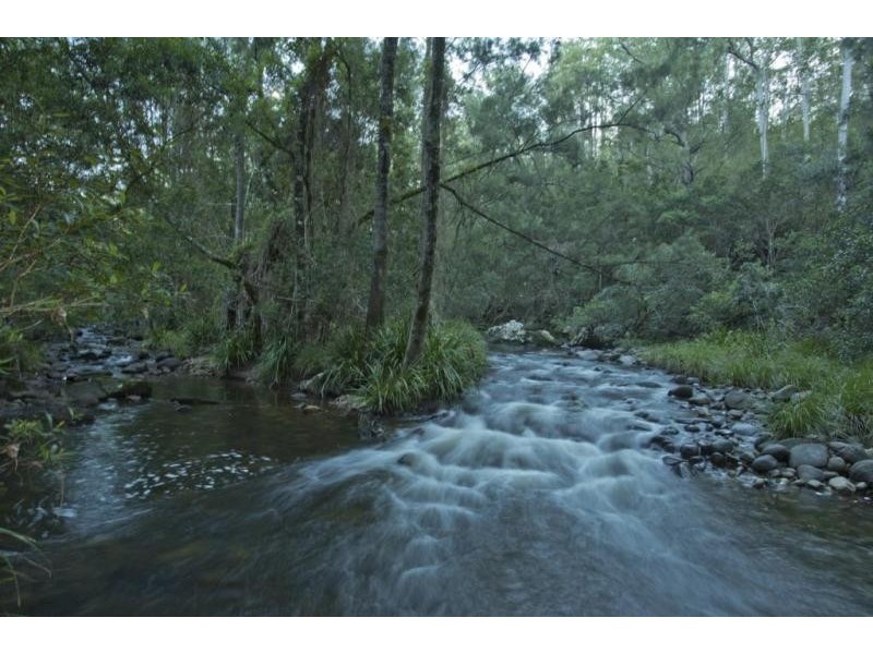 1182 Moores Road, Dungog NSW 2420