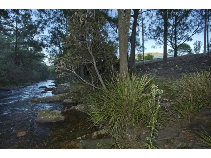 1182 Moores Road, Dungog NSW 2420