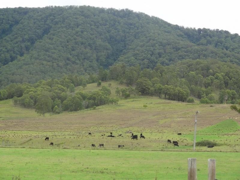 1182 Moores Road, Dungog NSW 2420