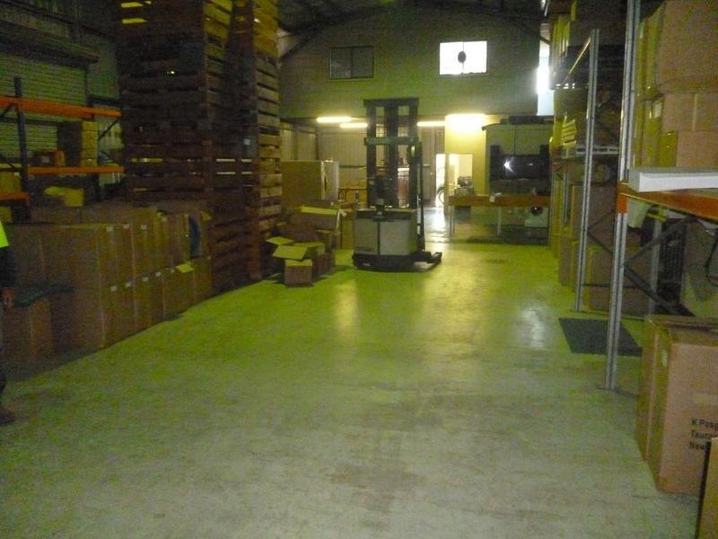 9 Peter Dron Street, Raymond Terrace NSW 2324