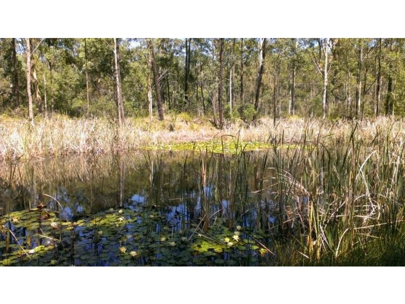 181 Forest Glen Road, Limeburners Creek NSW 2324