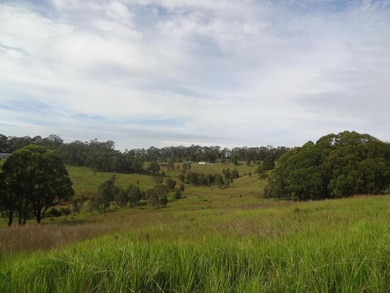 Lot 3 Booral Road, Girvan NSW 2425