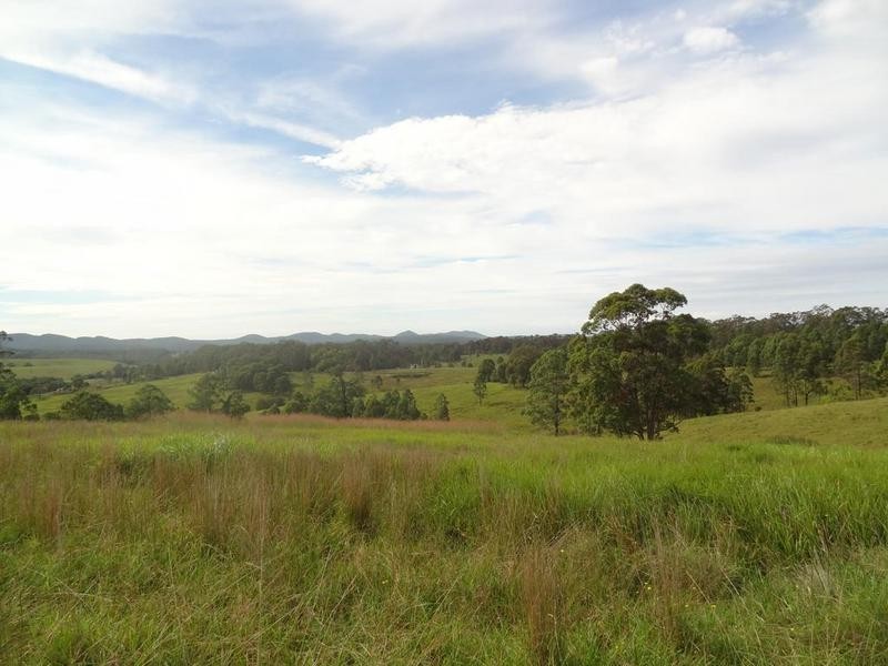 Lot 3 Booral Road, Girvan NSW 2425