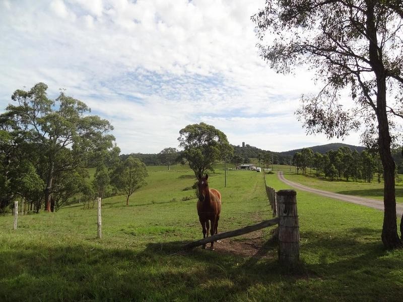 Lot 3 Booral Road, Girvan NSW 2425