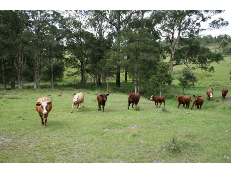 LOT 2 Washpool Creek Road, Booral NSW 2425