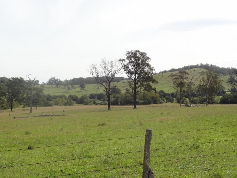 17 Wattle Tree Road, Dungog NSW 2420