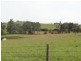 17 Wattle Tree Road, Dungog NSW 2420