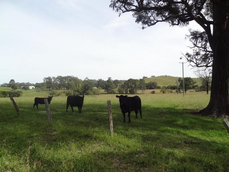 17 Wattle Tree Road, Dungog NSW 2420
