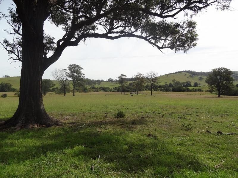 17 Wattle Tree Road, Dungog NSW 2420
