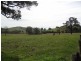 17 Wattle Tree Road, Dungog NSW 2420