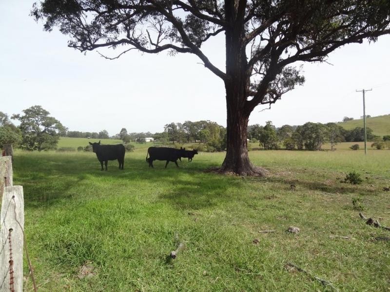 17 Wattle Tree Road, Dungog NSW 2420